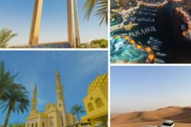 Dubai City Tour with Desert Safari and Dhow Cruise  Marina